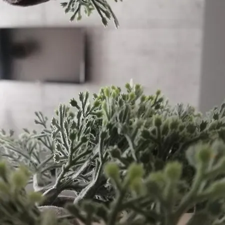 Appartamento Art Luxury Living Free Parking Ruse